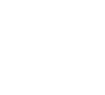 Systems Engineering Logo